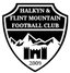 Flint Mountain logo