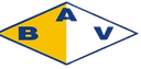 Bella Vista Paysandu logo - Paysandu VS Gladiador Fc De Salto Result Today
