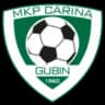 Carina Gubin logo