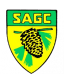 SA Gazinet-Cestas logo - Blagnac VS Sa Gazinetcestas Score Today