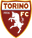 Torino Under 17 logo