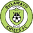 Bulawayo Chiefs logo