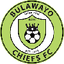 Bulawayo Chiefs logo