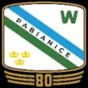 Wlokniarz Pabianice logo - Pabianice VS Boruta Zgierz Sport