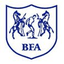 Botswana  Women logo