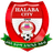 Halaba Ketema logo
