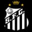 Santos U19 logo