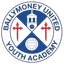 Ballymoney United (W) logo