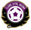 Vital Ibiuna SP Youth logo