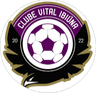 Vital Ibiuna SP Youth logo