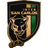 International San Carlos logo