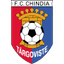 Chindia Targoviste (W) logo
