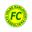 Velke Karlovice logo