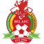 Briton Ferry Women logo