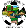Bumamuru logo