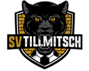 SV Tillmitsch logo - Tillmitsch VS Sv Ilz Score
