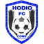 Hodio logo - Ben Ligue 33305 Football Live