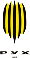 Rukh Vynnyky Youth logo