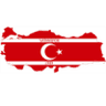 Vatanspor logo