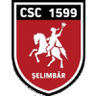 Selimbar logo