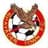 Rhayader Town logo
