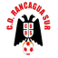 CD Rancagua Sur logo