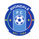 Avondale FC logo - Fc VS Green Gully Cavaliers Score