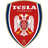 SSG Nikola Tesla logo