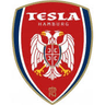 SSG Nikola Tesla logo