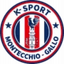 ASD K-Sport Montecchio U19 logo
