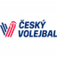 Super Cup logo