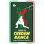Serie A2 logo