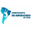 South American Championship logo - South American Championship 10286 Sport