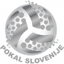 Slovenia Cup logo