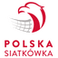 Polish Cup logo