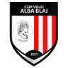 CSM Volei Alba Blaj Women logo