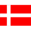 Denmark U20 logo