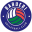 Barueri W logo