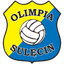 Olimpia Sulecin logo