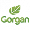 PAS Gorgan logo - Gorgan VS Paykan Result