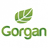 PAS Gorgan logo - Super League 10097 Live Result