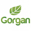 Gorgan logo