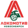 Novosibirsk logo