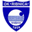 Ribnica logo