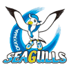 Okayama Seagulls Women logo - W VS Okayama Seagulls Women Live Score