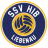 Graz logo