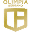 Bergamo logo