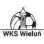 Wielun logo
