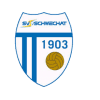 Sokol Wien logo - Wien VS Amstetten No Result