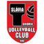 Svidnik logo